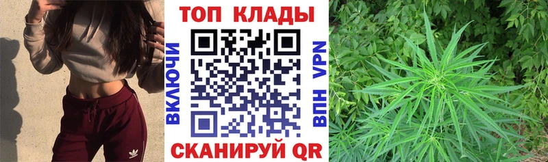 Виды наркоты Звенигород Конопля МЕФ ГАШ