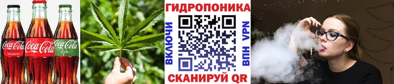 блэк спрут как войти  Звенигород  Печенье с ТГК конопля 