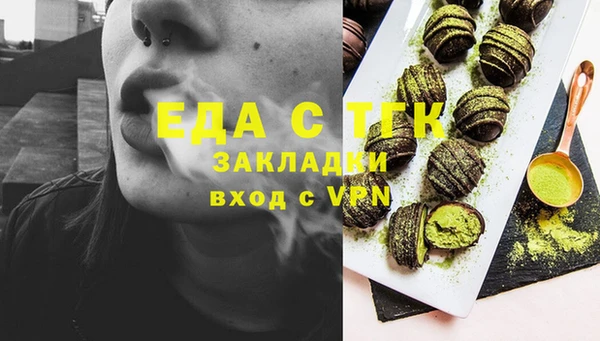 ECSTASY Алзамай