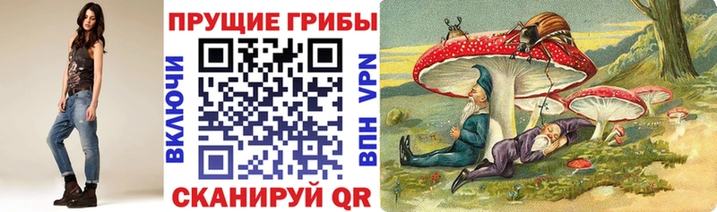 где можно купить Звенигород Галлюциногенные грибы GOLDEN TEACHER