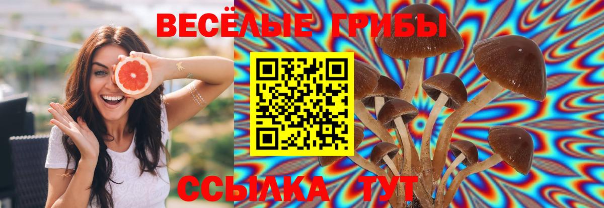 Звенигород  Псилоцибиновые грибы Magic Shrooms  Вход с VPN 
